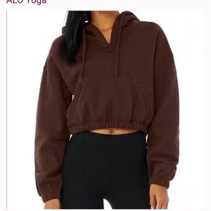 Alo Yoga Refresh Stadium Half Zip Hoodie in Cherry Cola SMALL